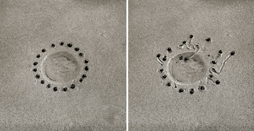 snail-drawing-tracks-daniel-ranalli-14 snail-drawing-tracks-daniel-ranalli-14