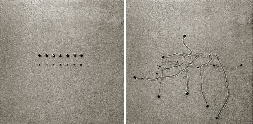 snail-drawing-tracks-daniel-ranalli-15 snail-drawing-tracks-daniel-ranalli-15