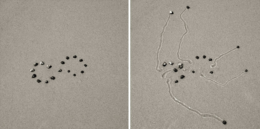 snail-drawing-tracks-daniel-ranalli-17 snail-drawing-tracks-daniel-ranalli-17