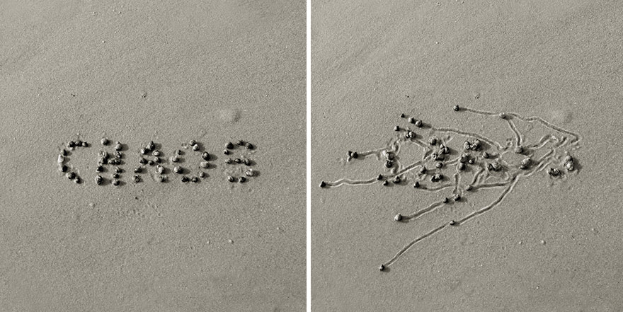 snail-drawing-tracks-daniel-ranalli-18 snail-drawing-tracks-daniel-ranalli-18