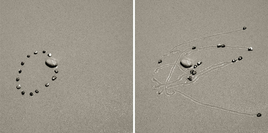 snail-drawing-tracks-daniel-ranalli-19 snail-drawing-tracks-daniel-ranalli-19