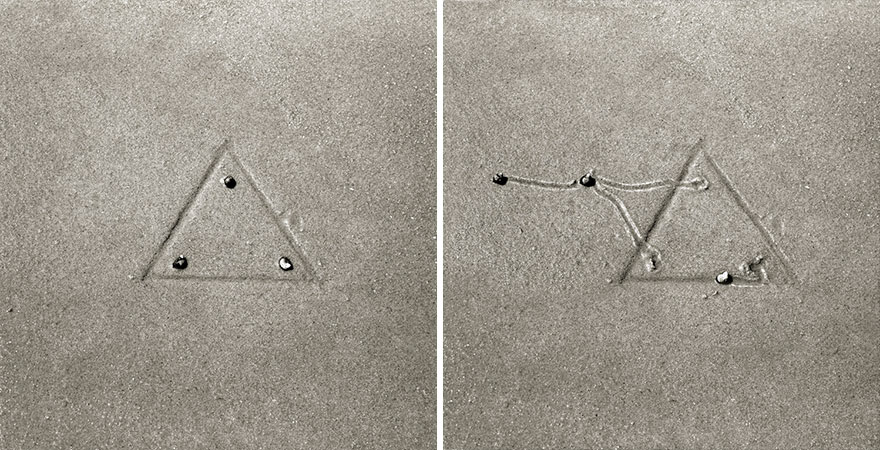 snail-drawing-tracks-daniel-ranalli-20 snail-drawing-tracks-daniel-ranalli-20