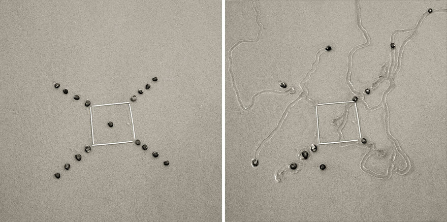 snail-drawing-tracks-daniel-ranalli-21 snail-drawing-tracks-daniel-ranalli-21