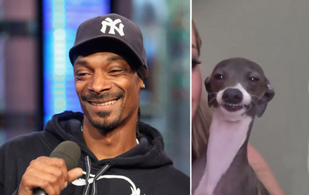 Snoop Doggy Dog