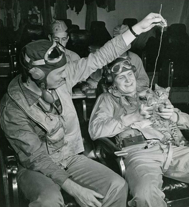 Soldiers Playing With A Kitten