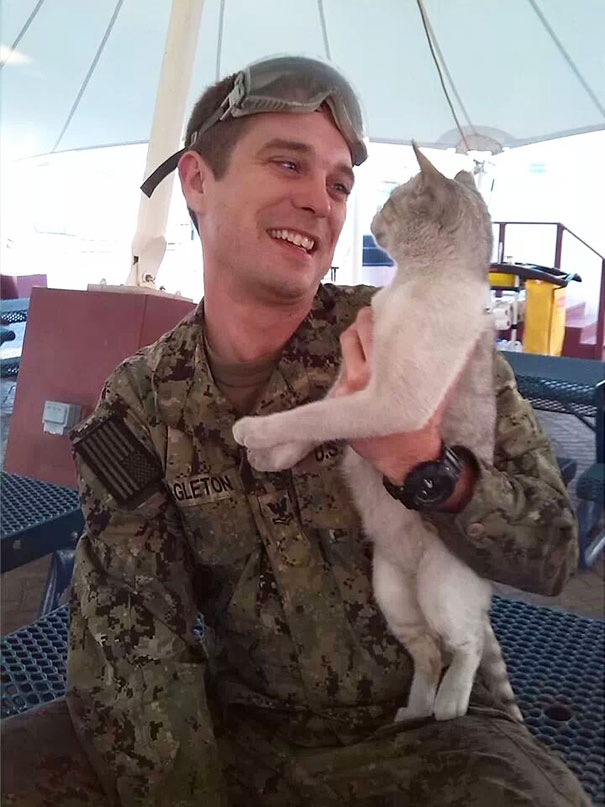 My Buddy Is Stationed In Bahrain. He Found This Guy In The Trash And He's Been Taking Care If Him