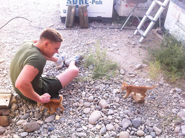 Found These Kittens In Afghanistan