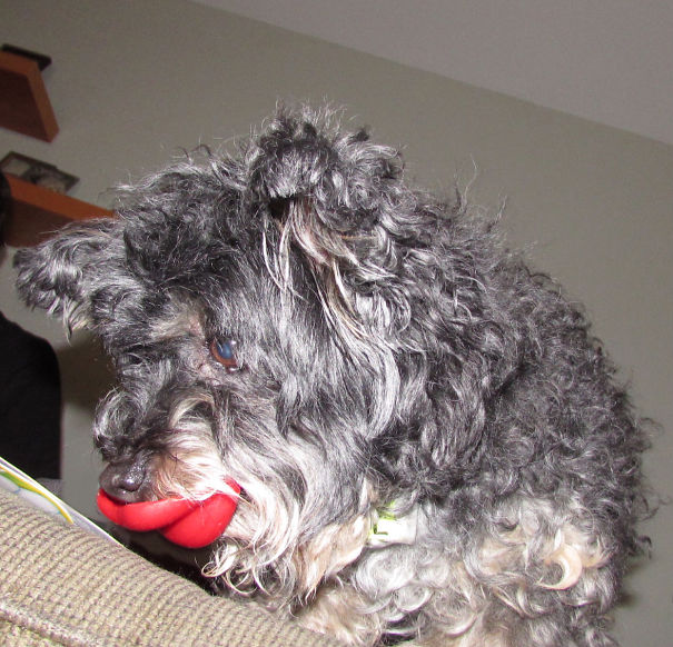 Just Look At My Profile! Don't I Look Sexy!!!!?