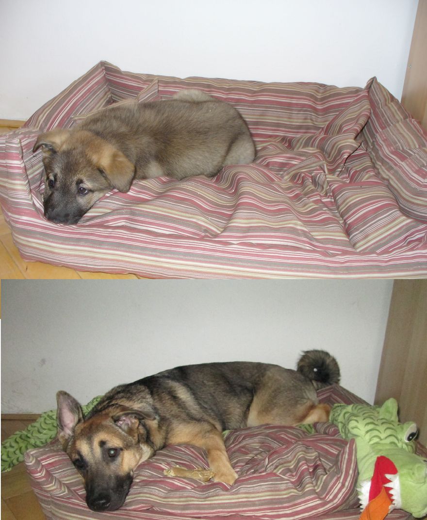 My Little Monster :*