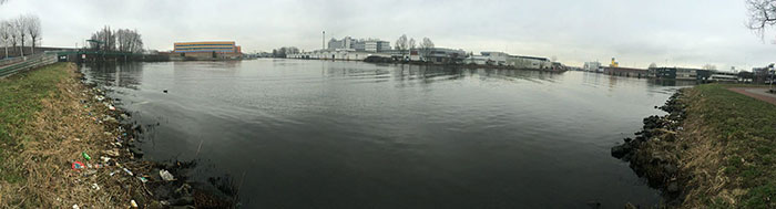 trash-picking-cleaning-project-littering-environmental-friendly- pigswegetwhatpigsdeserve-1