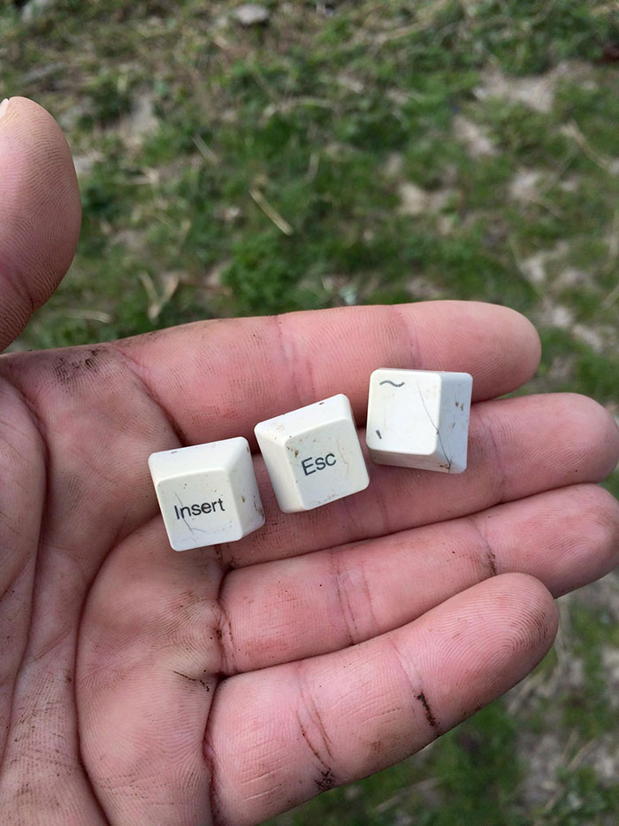 trash-picking-cleaning-project-littering-environmental-friendly- pigswegetwhatpigsdeserve-17 trash-picking-cleaning-project-littering-environmental-friendly- pigswegetwhatpigsdeserve-17