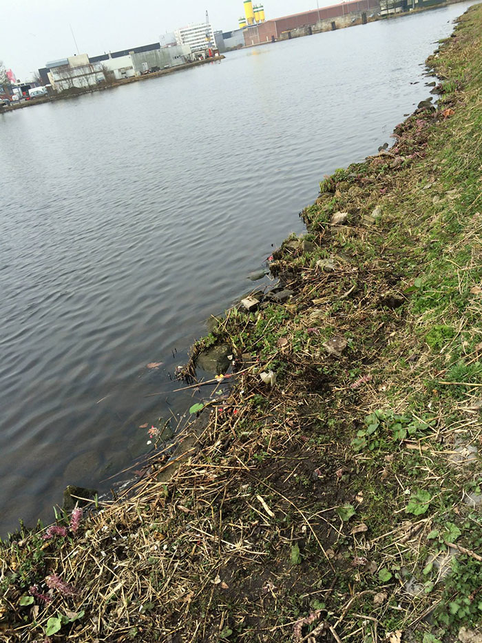 trash-picking-cleaning-project-littering-environmental-friendly- pigswegetwhatpigsdeserve-18