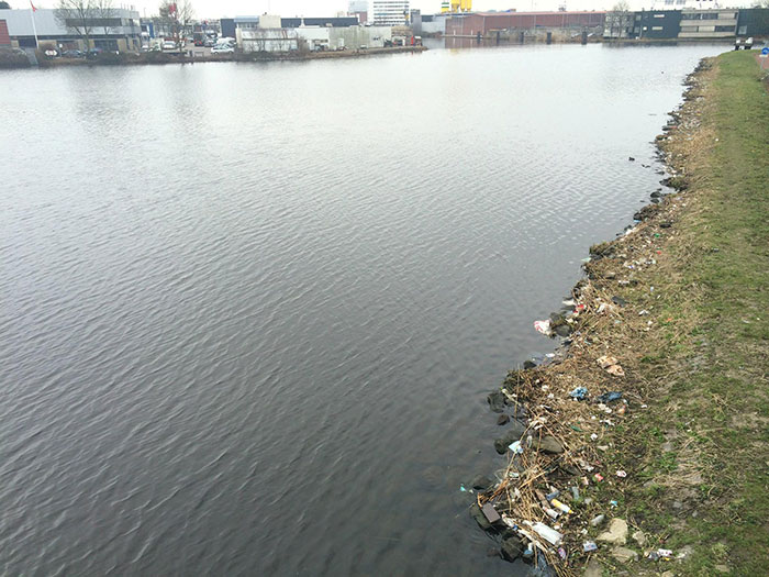 trash-picking-cleaning-project-littering-environmental-friendly- pigswegetwhatpigsdeserve-5