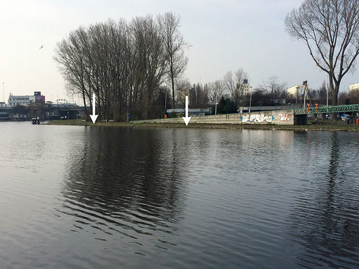 trash-picking-cleaning-project-littering-environmental-friendly- pigswegetwhatpigsdeserve-9