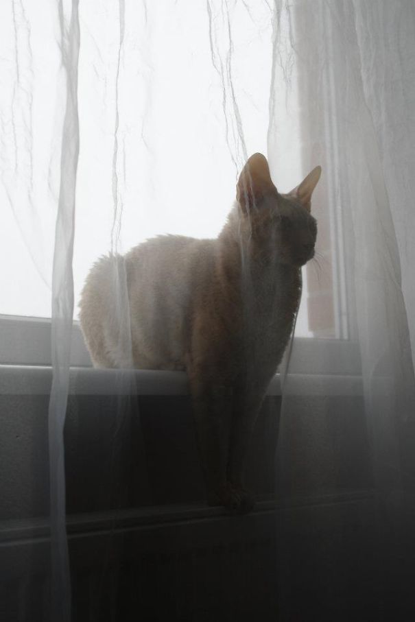 At Least Feet Are Warm :d