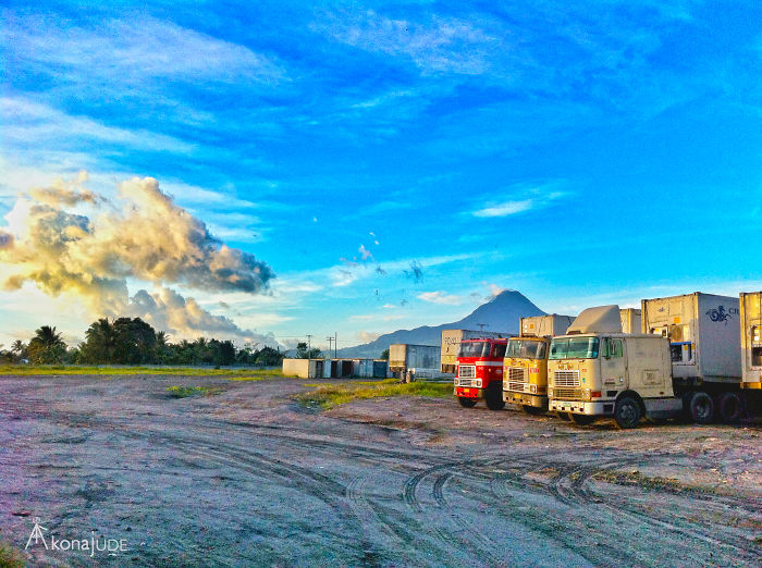 The Dragon Ball Z Dragon