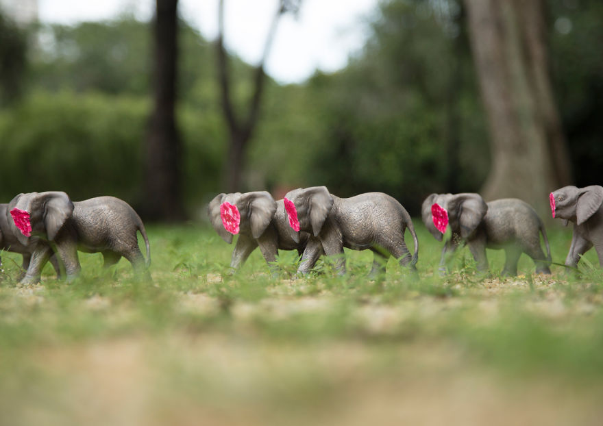 Untusked - An Art Project To Save Elephants