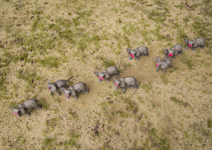 Untusked - An Art Project To Save Elephants