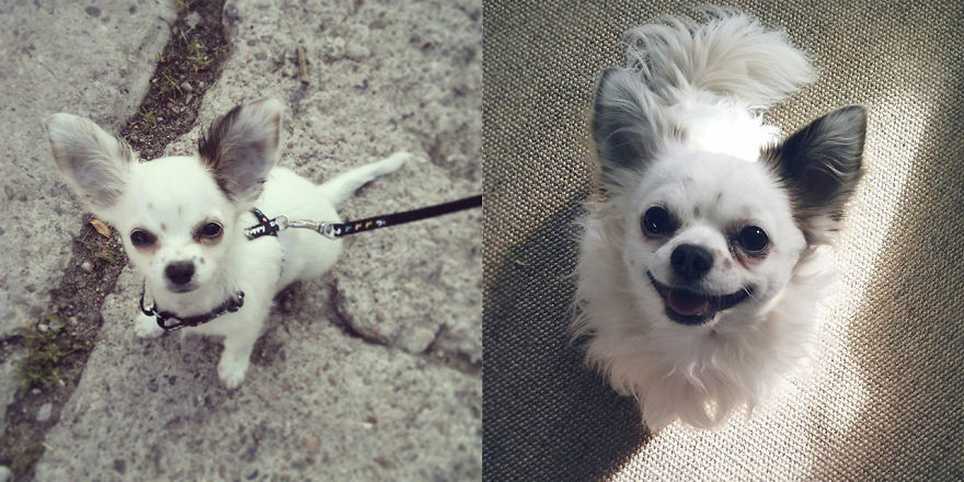 Ufo - Two Years Apart