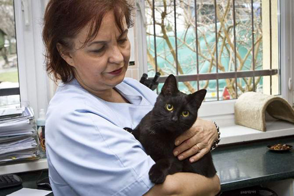 veterinary-nurse-cat-hugs-shelter-animals-radamenes-bydgoszcz-poland-2 veterinary-nurse-cat-hugs-shelter-animals-radamenes-bydgoszcz-poland-2