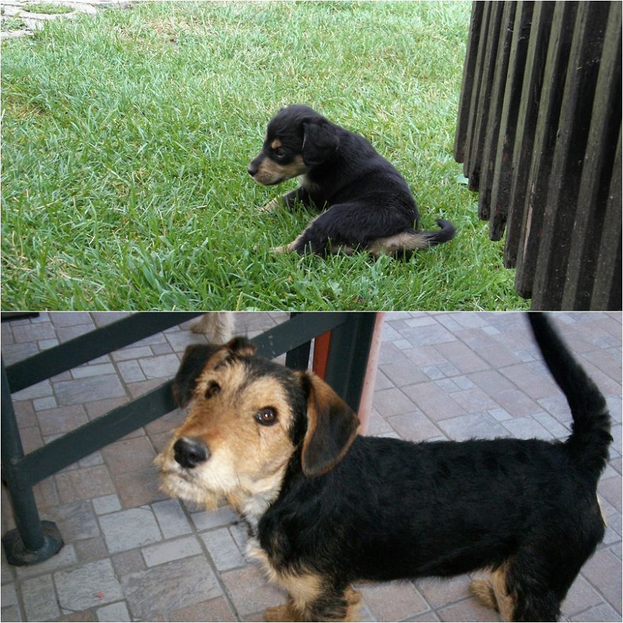 Vitamin 4 Month Apart