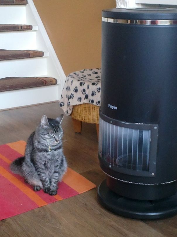 Heating Up By The Gas Fireplace