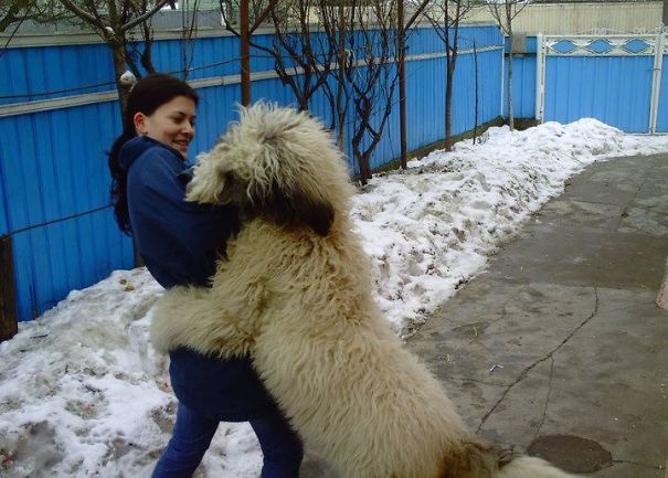 My Girlfriend And My Dog Having Fun In The Yard :)