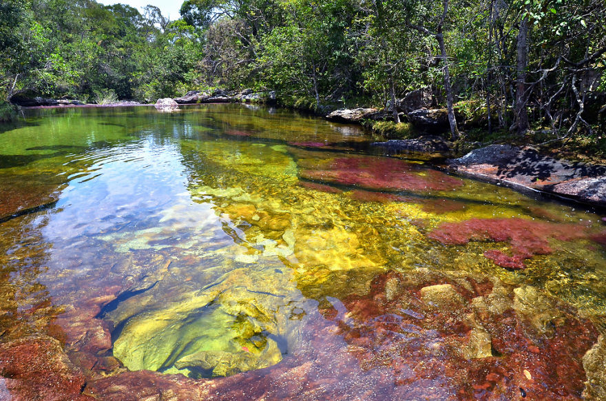 Caño Cristales River. Meta, Colombia. (aka "liquid Rainbow" And "the River Of Five Colors")