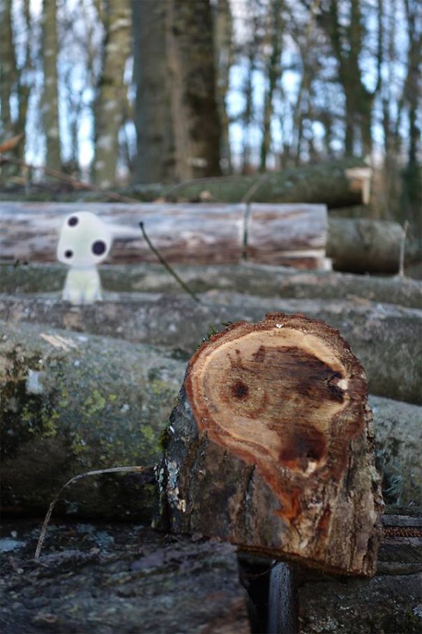 Mononoke's Spirits Are Real