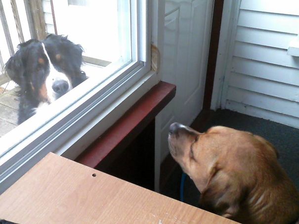 "our Love Cannot Be Blocked By A Door! But Please, Let Me In Anyway."