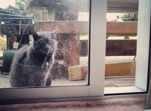 Yes, I Do See That The Door Is Already Open. Yes, I Do Require It To Be Opened Further For Me.