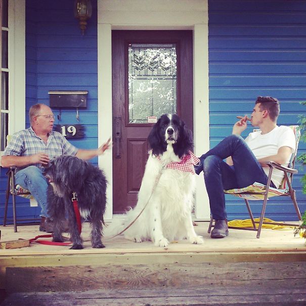 Douglas - Gaurdian Of The Porch, King Of The House.