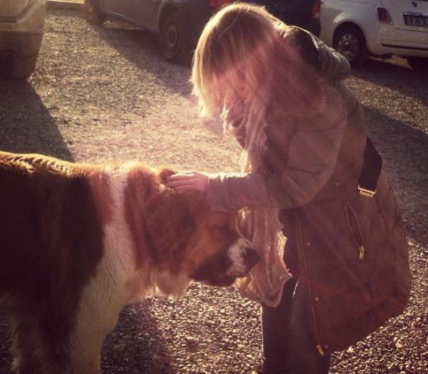 He Still Thinks That He Is A Tiny Puppy...