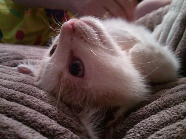 That Madness In His Eyes