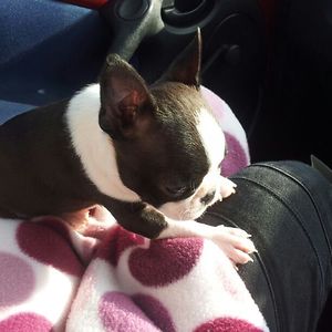 leighann_nel5 avatar