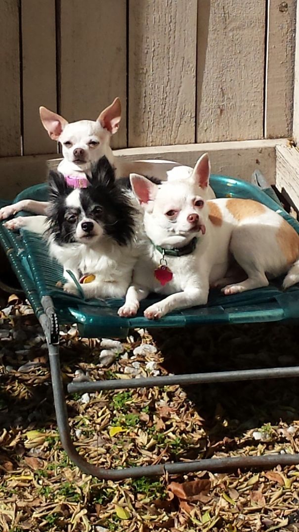 Three Is Not A Crowd.