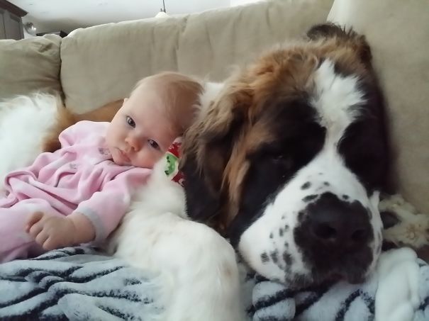 Someone Found A Nice Cozy Place To Snuggle Up