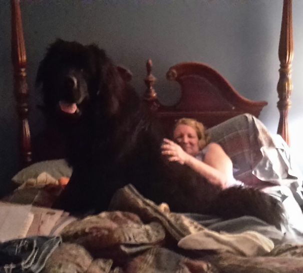 Bear Wishing Is Mom A Happy Mother's Day And Brought Me The Sunday Paper!