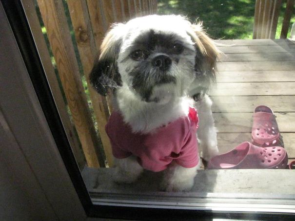 Can You Let Me In Please...