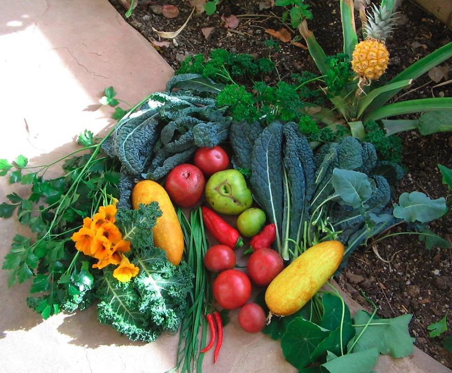 40 Bloody Good Reasons You Need To Build An Earthship