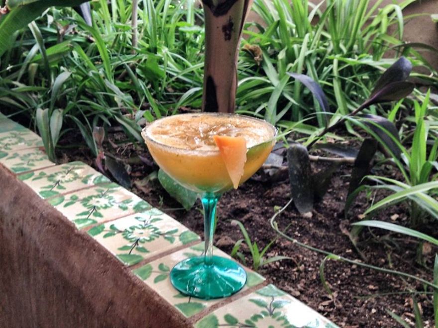 40 Bloody Good Reasons You Need To Build An Earthship