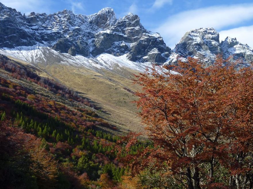 40 Bloody Good Reasons You Need To Build An Earthship