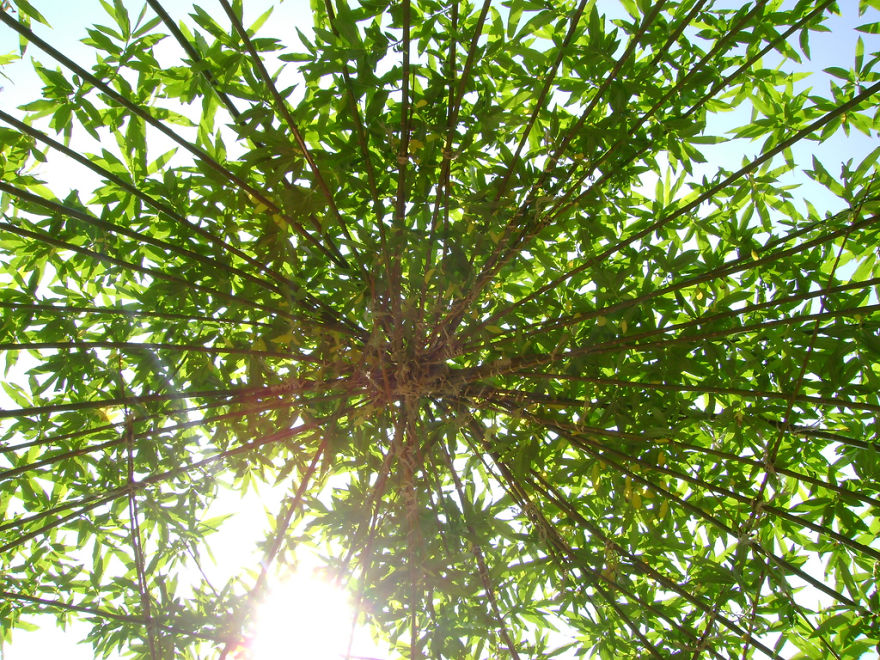 40 Bloody Good Reasons You Need To Build An Earthship