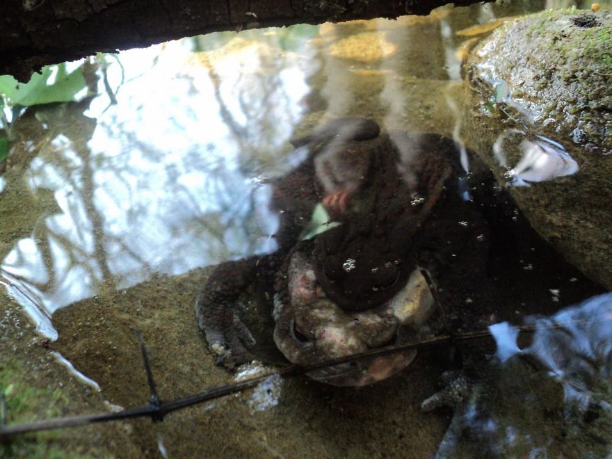 Just Chillin' On My Mama..