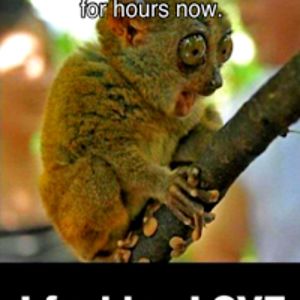 steviethompson avatar