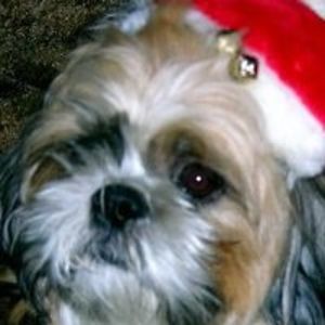 mcdanielbritt avatar