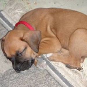 ericka_russian avatar