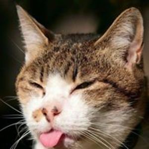 judithgray558 avatar