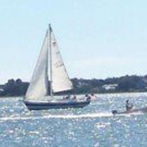 Susan_Seaman_DeVeaux avatar