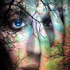 silvermoon1941 avatar